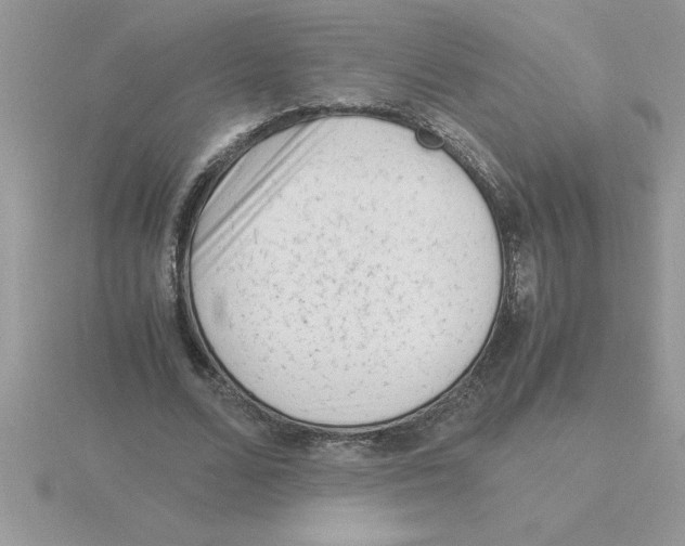 X0000115840680200912111333