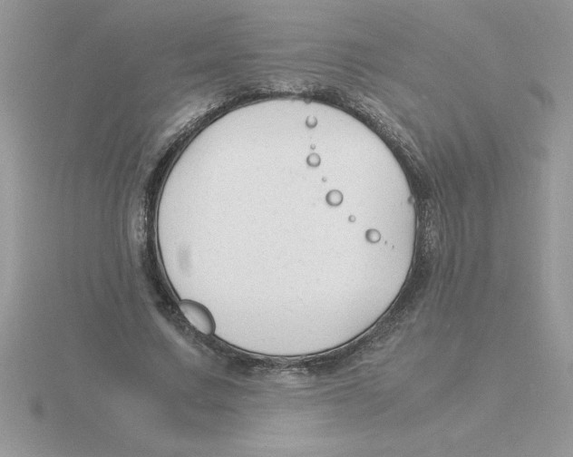 X0000115840683200912111333