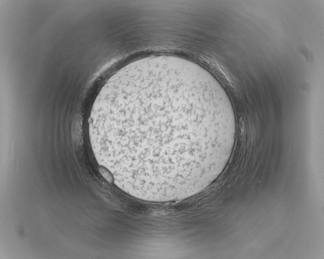 X0000115840684200912111333