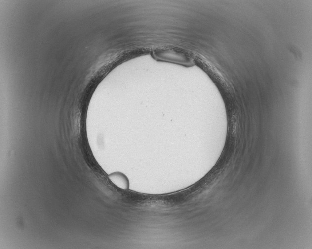 X0000115840685200912111333