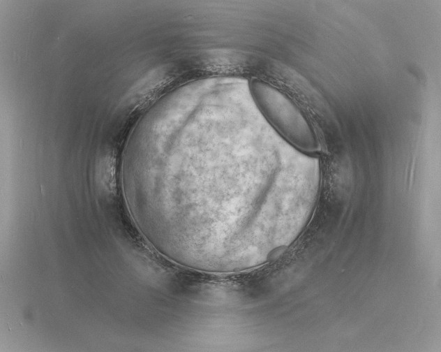 X0000115840696200912111333