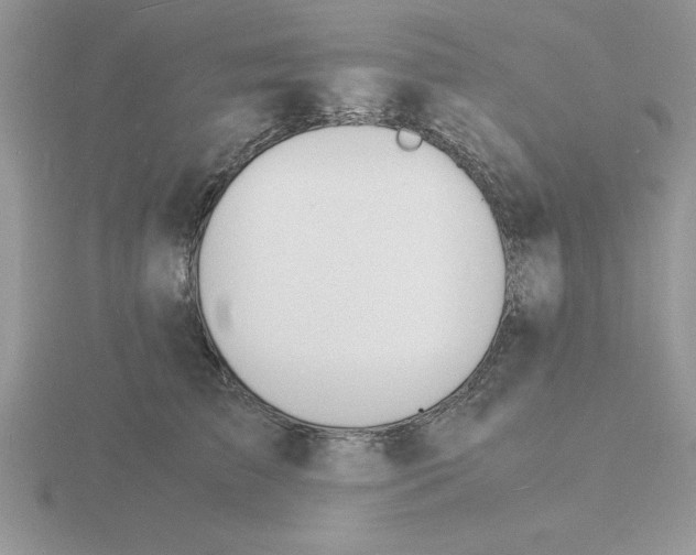 X0000115840709200912111332