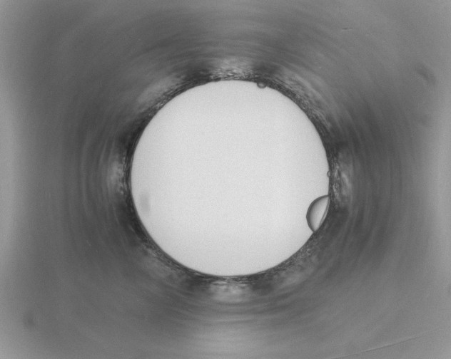 X0000115840714200912111332