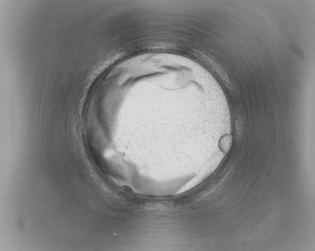 X0000115840721200912111332