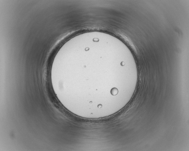 X0000115840722200912111332