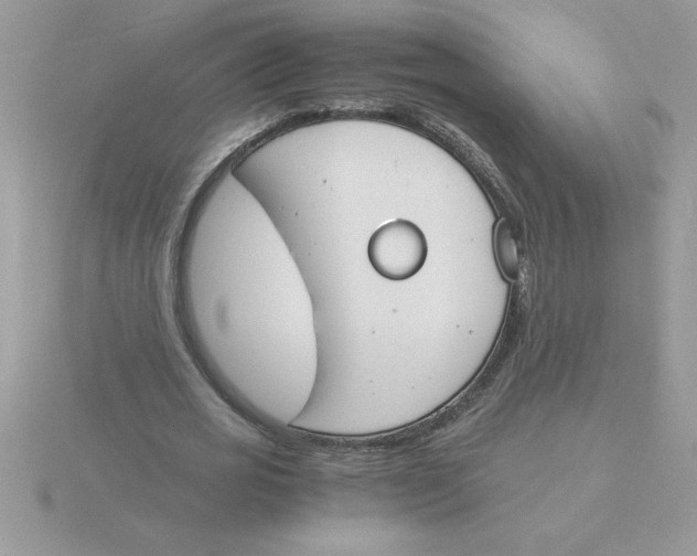 X0000115840725200912111332