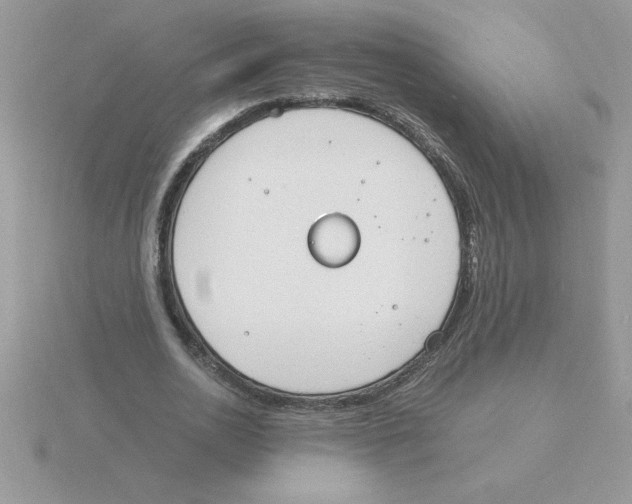 X0000115840726200912111332