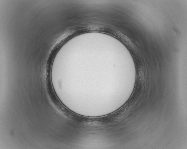 X0000115840730200912111332