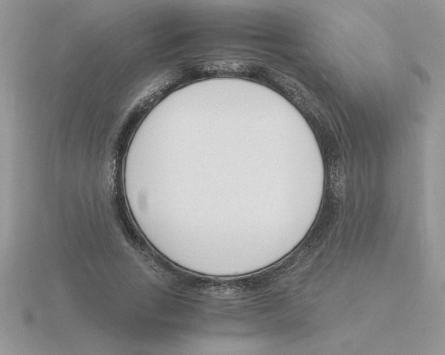 X0000115840735200912111332