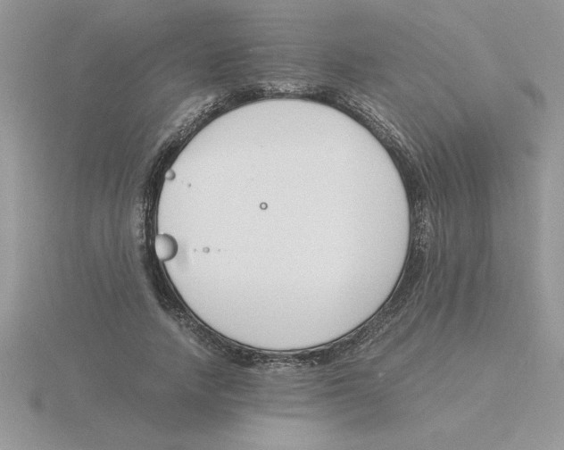 X0000115840738200912111332