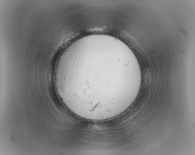 X0000115840739200912111332