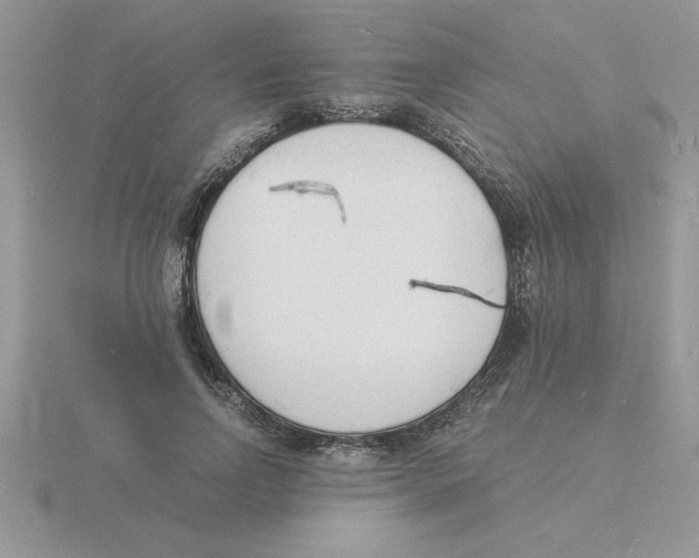 X0000115840742200912111332