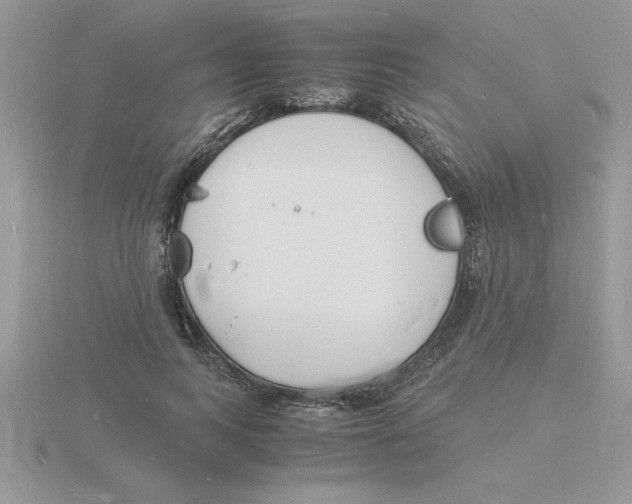 X0000115840743200912111332