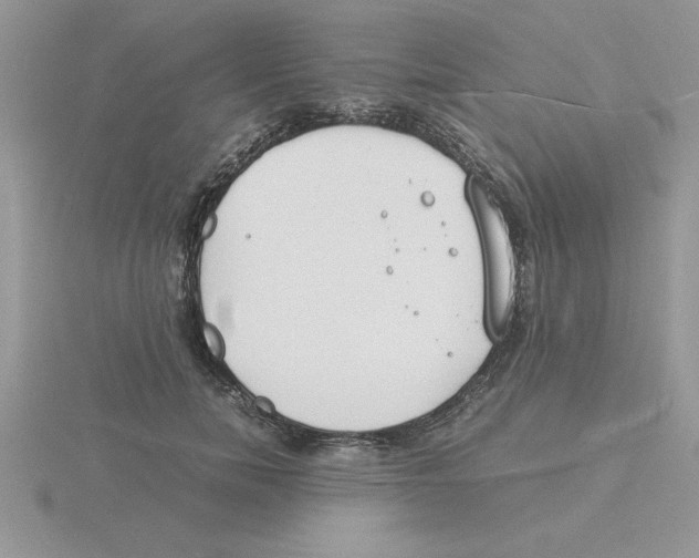 X0000115840750200912111332