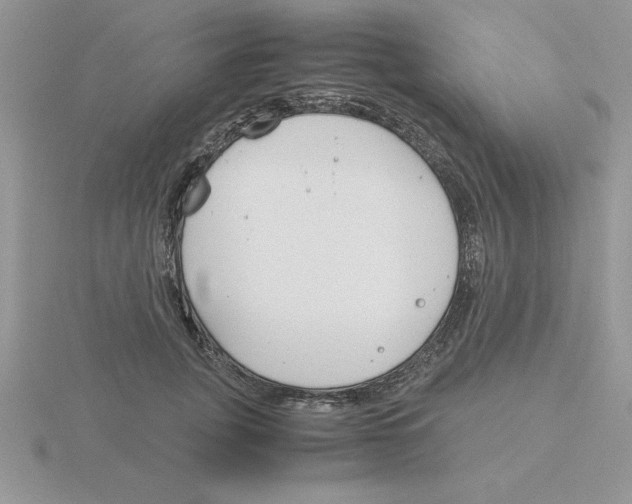 X0000115840751200912111332