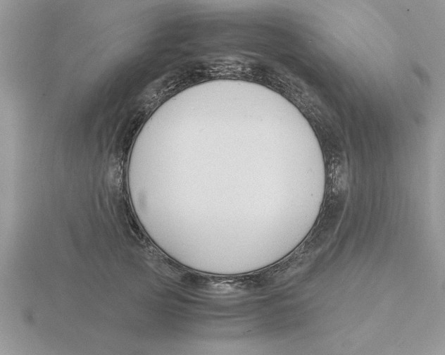 X0000115840753200912111332