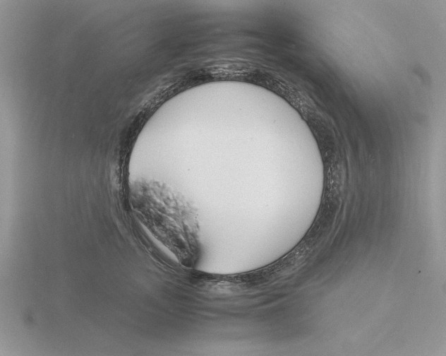 X0000115840755200912111332