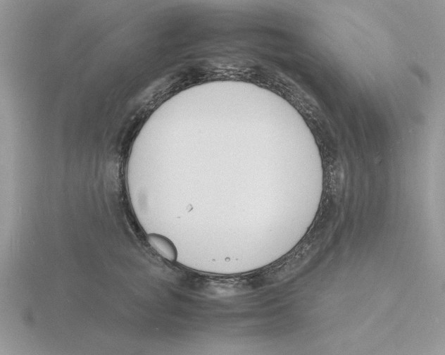 X0000115840757200912111332