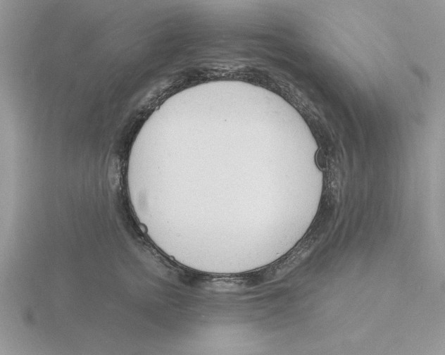 X0000115840758200912111332