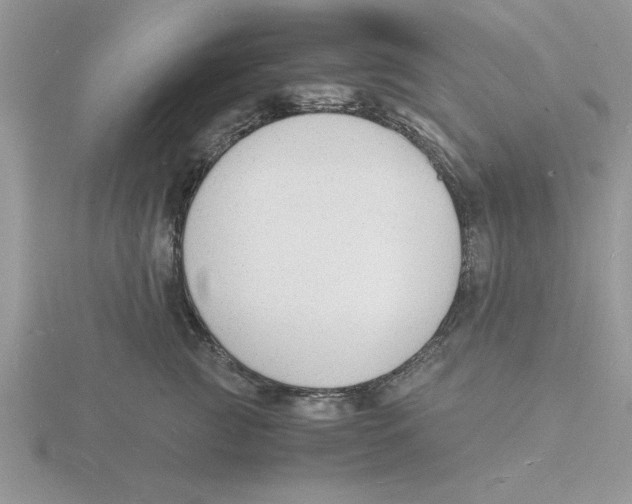 X0000115840761200912111332