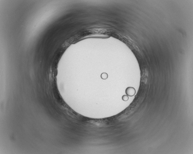 X0000115840763200912111332