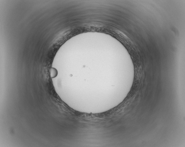 X0000115840774200912111332