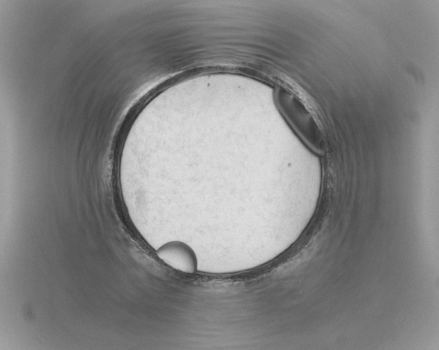 X0000115840779200912111332