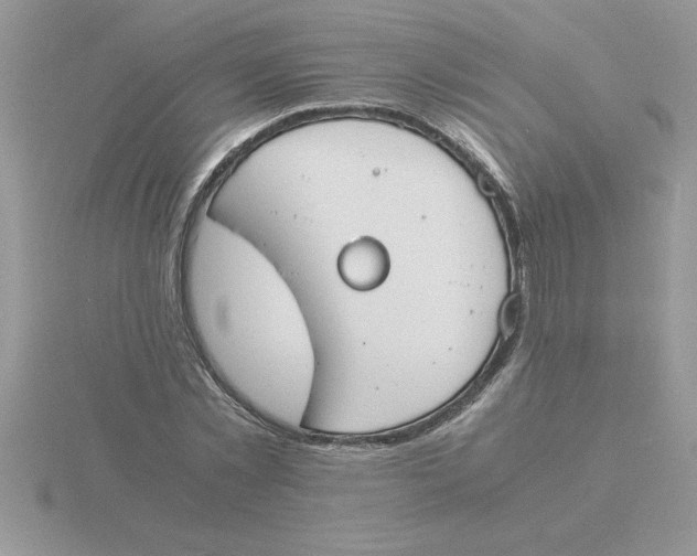 X0000115840781200912111332