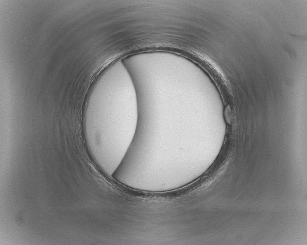 X0000115840785200912111332