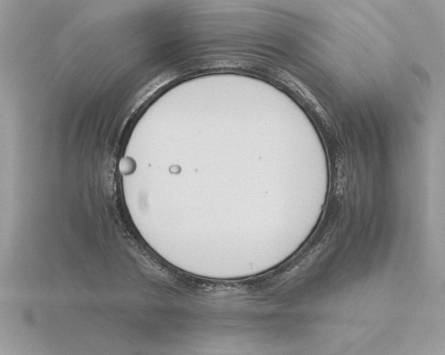 X0000115840786200912111331