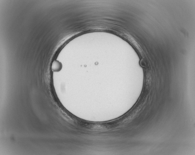 X0000115840787200912111331