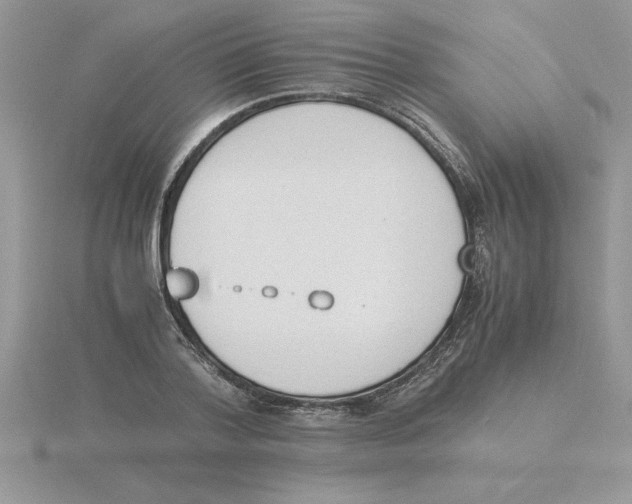 X0000115840788200912111331