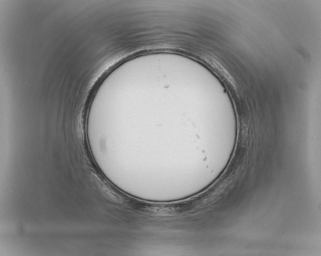 X0000115840789200912111331