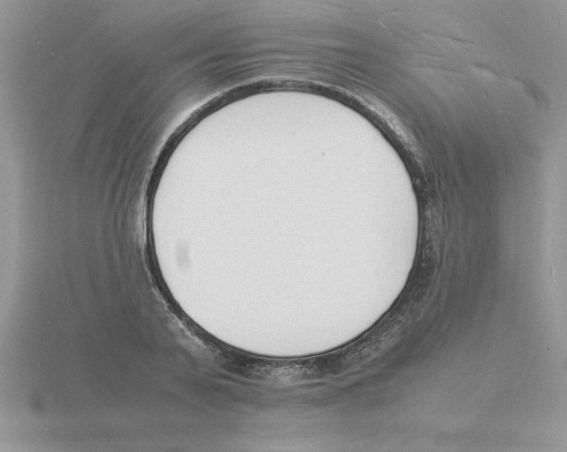 X0000115840791200912111331