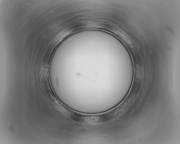 X0000115840793200912111331