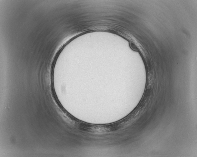 X0000115840795200912111331