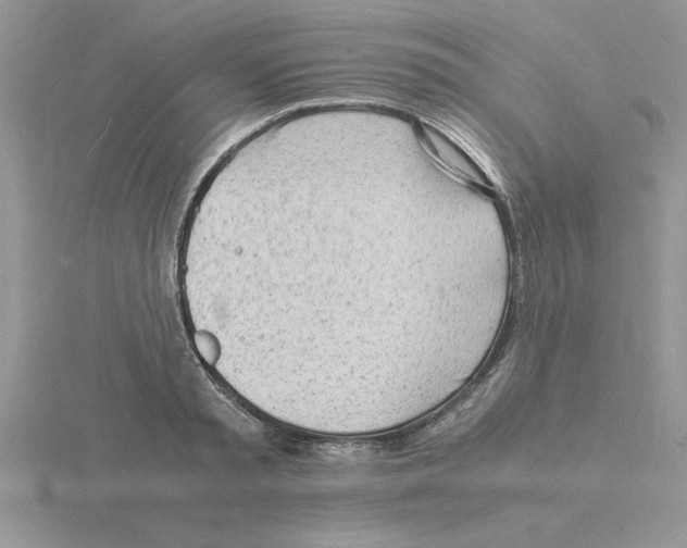 X0000115840797200912111331