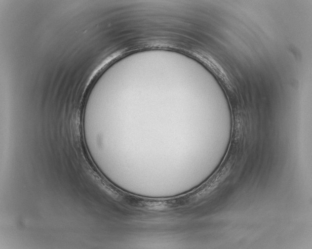 X0000115840798200912111331