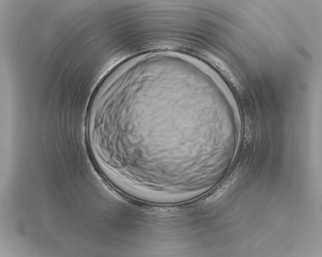 X0000115840802200912111331