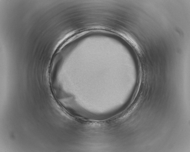 X0000115840806200912111331