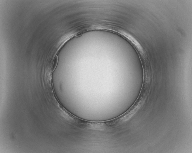 X0000115840809200912111331