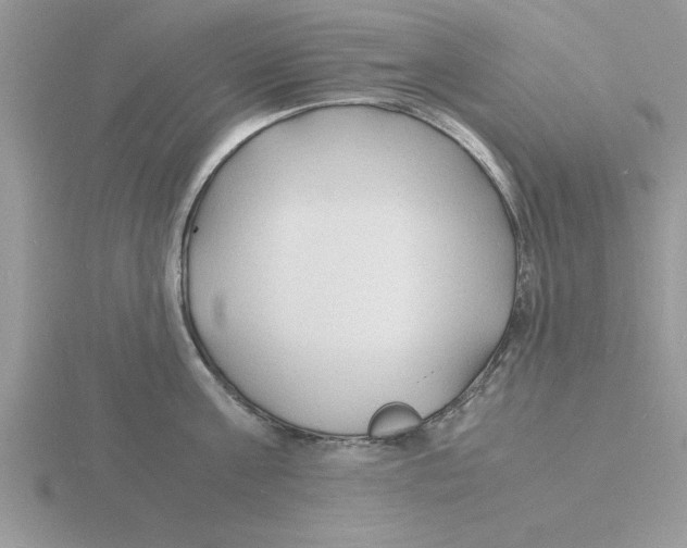 X0000115840811200912111331