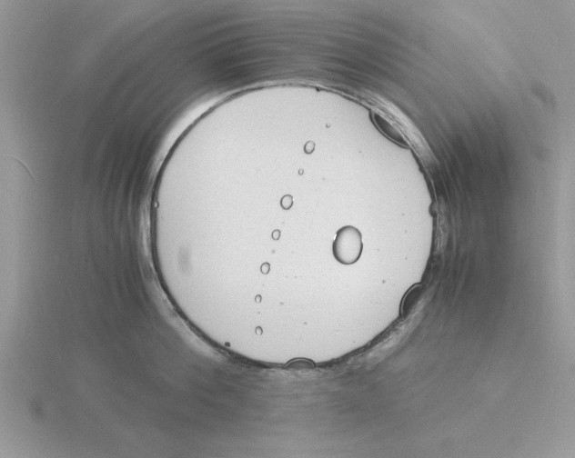 X0000115840812200912111331