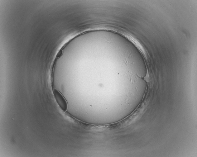 X0000115840813200912111331