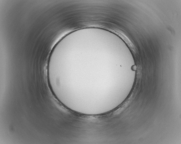 X0000115840814200912111331