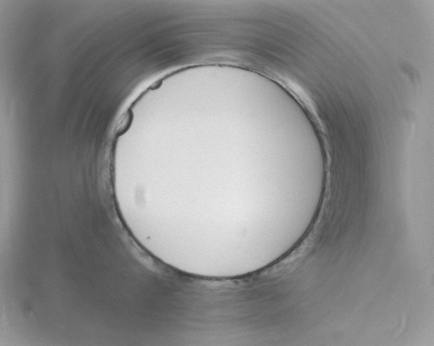 X0000115840816200912111331