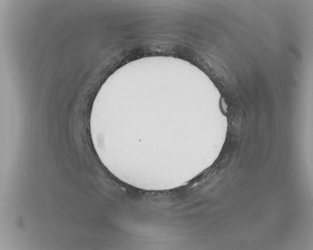 X0000115840817200912111330