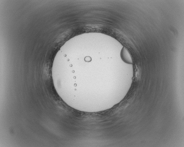 X0000115840819200912111331