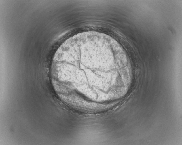 X0000115840822200912111331