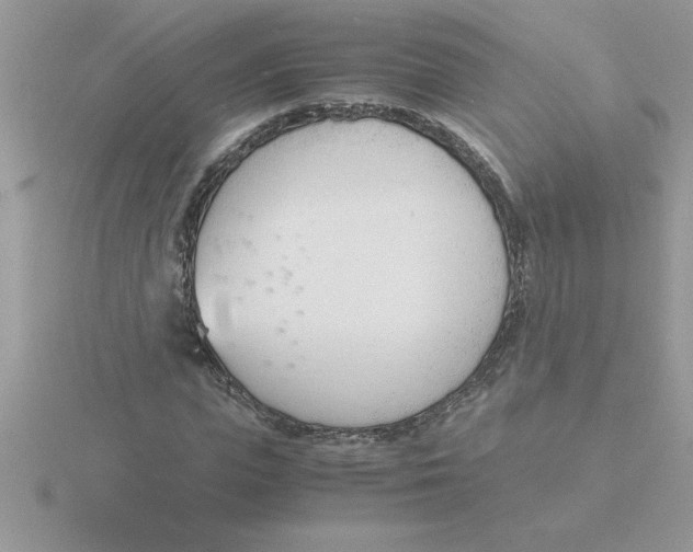 X0000115840823200912111331